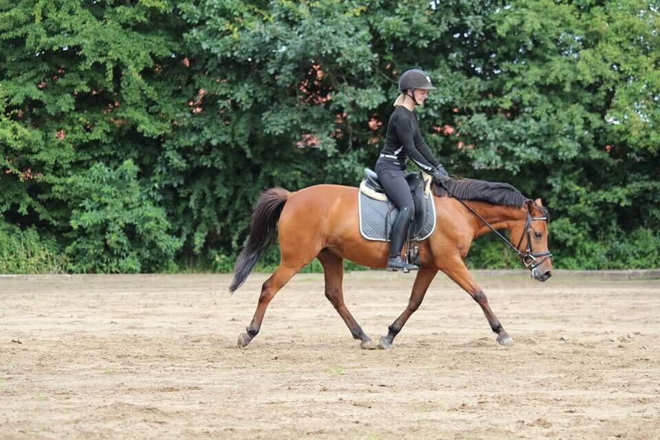 Anden særlig race Jenny billede 18