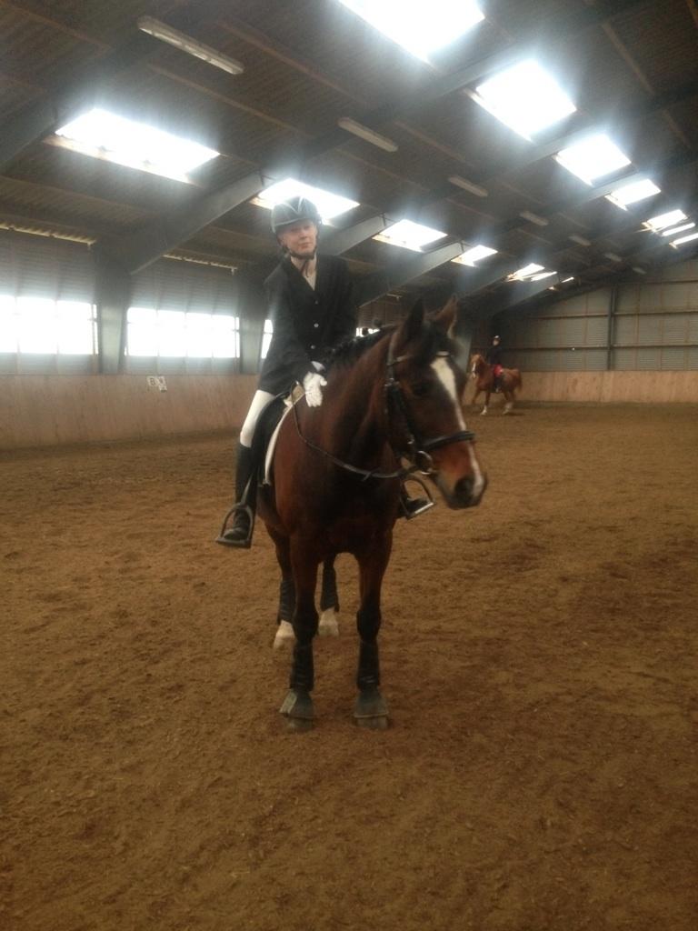 New Forest Shadow - Til stævne billede 5