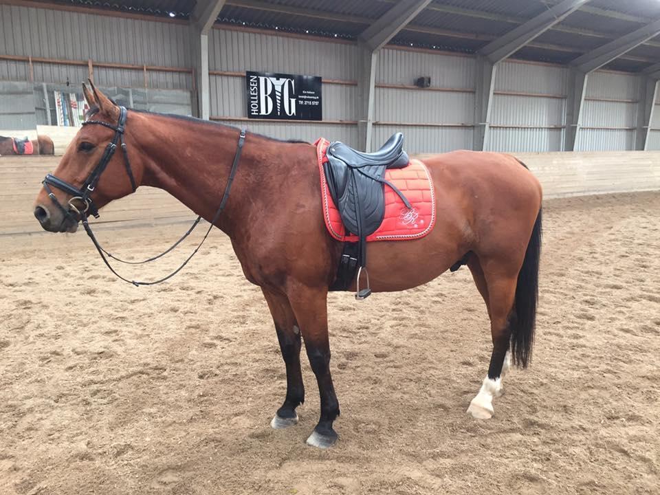 Anden særlig race Anton Årup billede 7