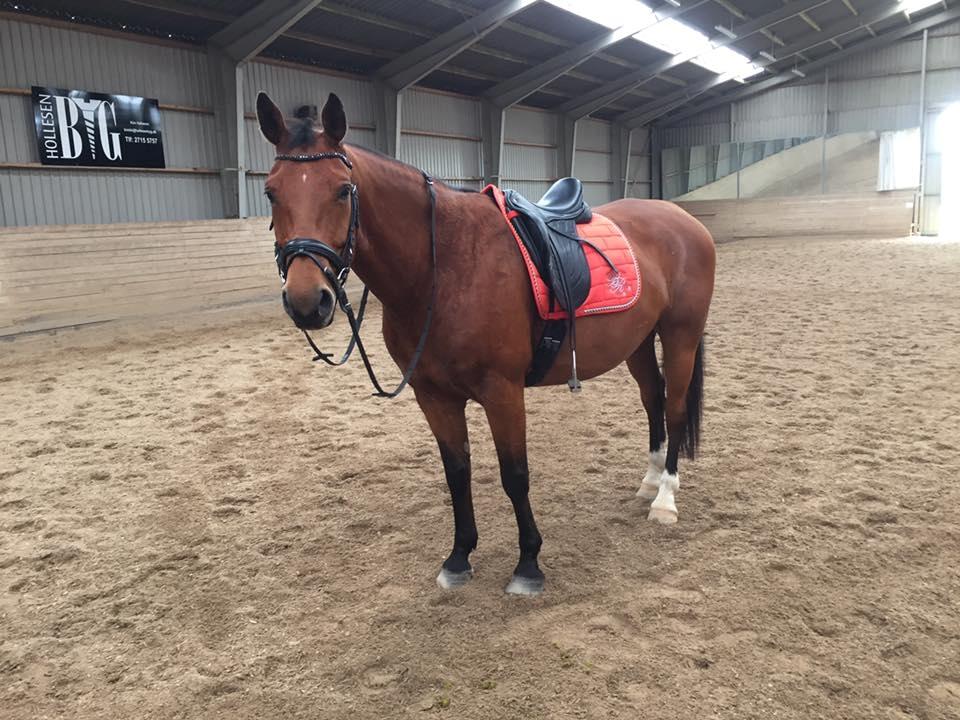 Anden særlig race Anton Årup billede 8