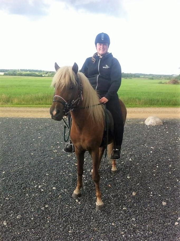 Islænder Neisti fra Lysenge - 2016 billede 20