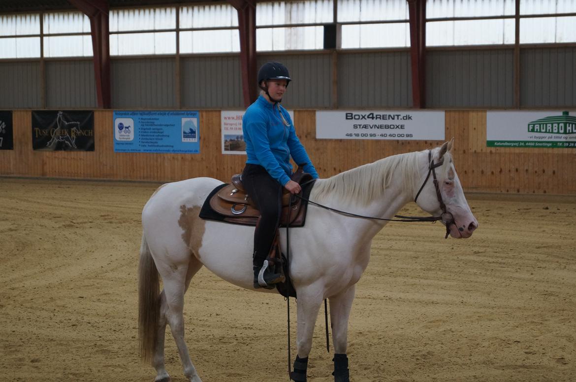 Paint CW Snow Qween - Første gang jeg sidder på Snowy! billede 11