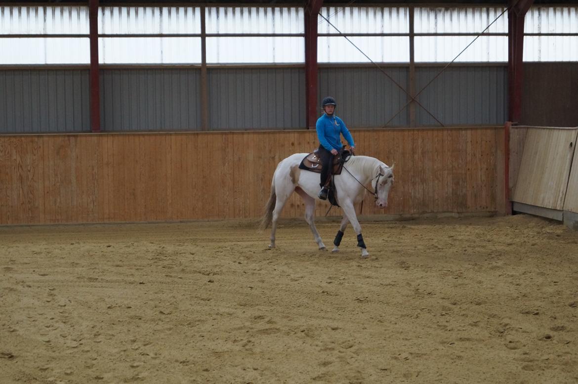 Paint CW Snow Qween billede 14