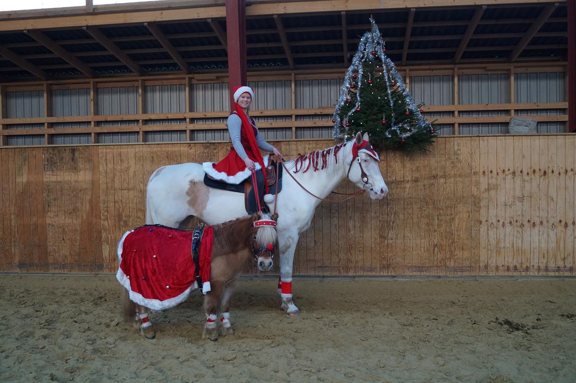 Paint CW Snow Qween - Første "stævne" på Snowy! Juletrail 11. december 2016. Vellykket ridt, hvor Snowy bare gik fantastisk. billede 19