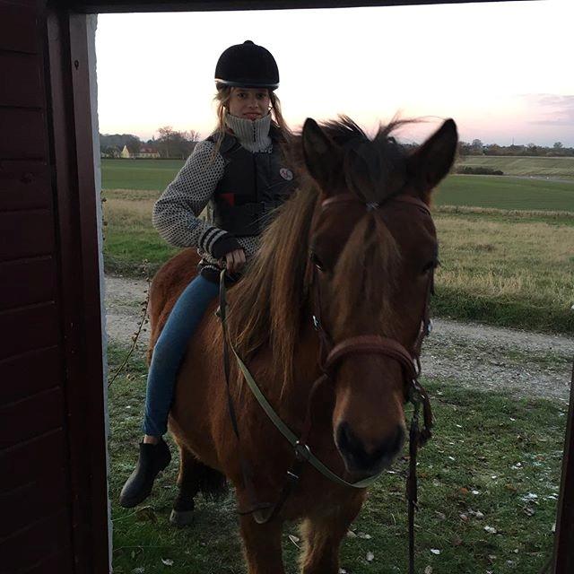 Islænder Fannar - 1. gang jeg rider ham billede 6