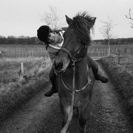 Islænder Fannar - 3. gang jeg rider ham billede 2