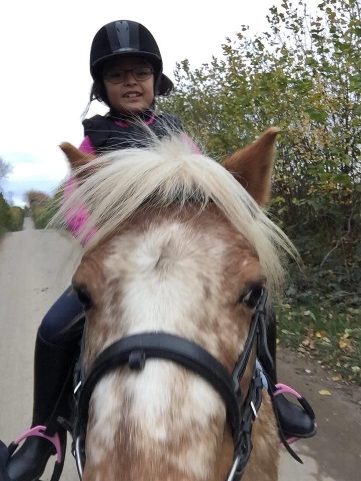 Anden særlig race Timon  - Timon og hans part på tur. Forår 2016 billede 10