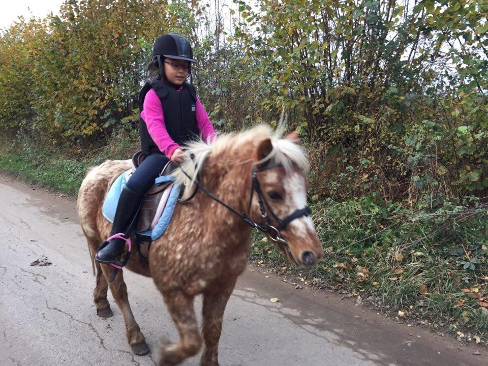 Anden særlig race Timon  - Timon og hans part på tur. Forår 2016 billede 15