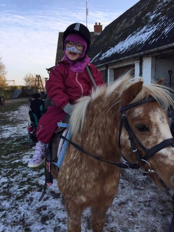 Anden særlig race Timon  - Lille søster får tur . Vinter 2016 billede 6