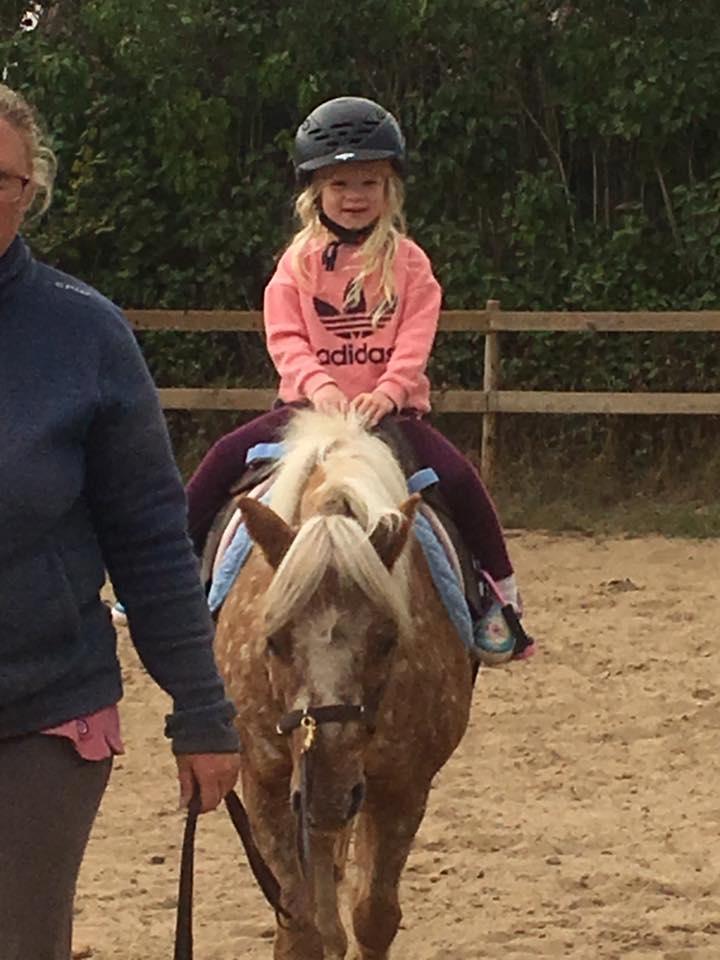 Anden særlig race Timon  - Min niece få træktur :-) efterår 2016 billede 25