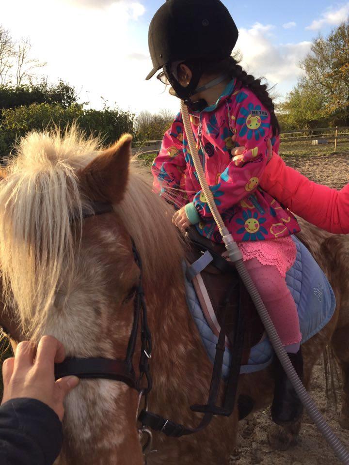 Anden særlig race Timon  - Lille søster får en tur :-) efterår 2016 billede 26