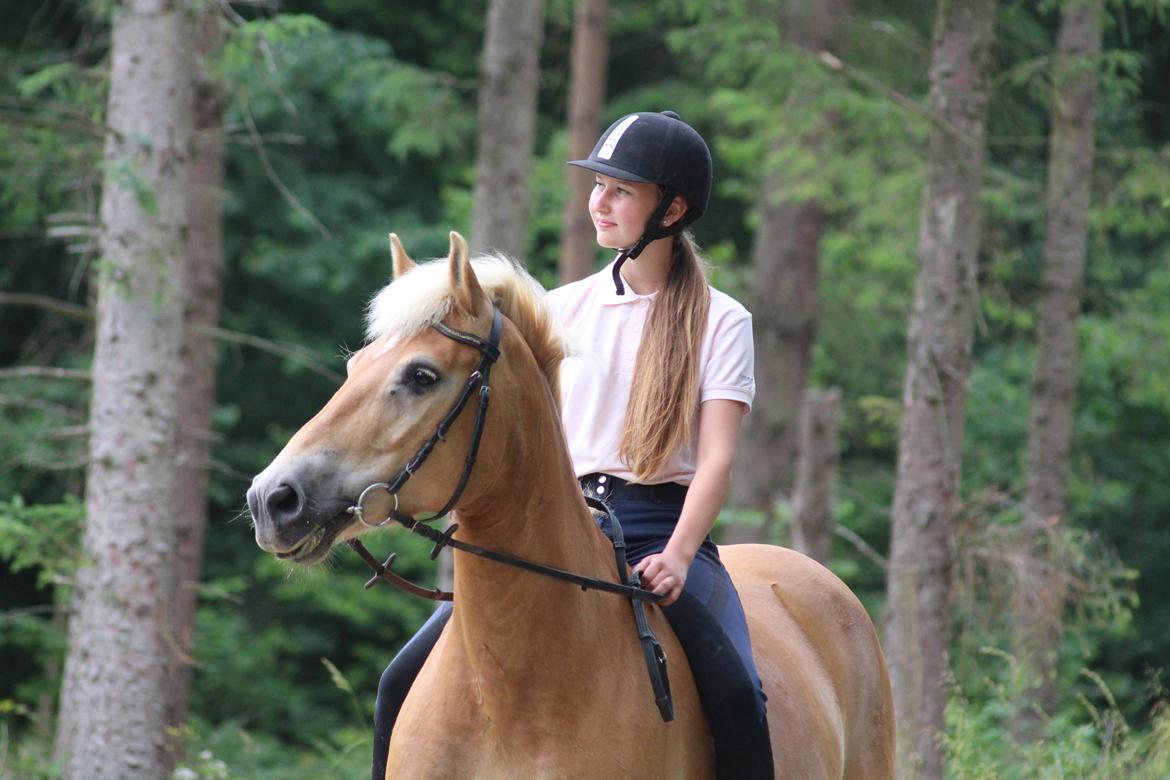 Haflinger Frida - 25/6-16 | 1 års dag med min Frida-mus <3 billede 5