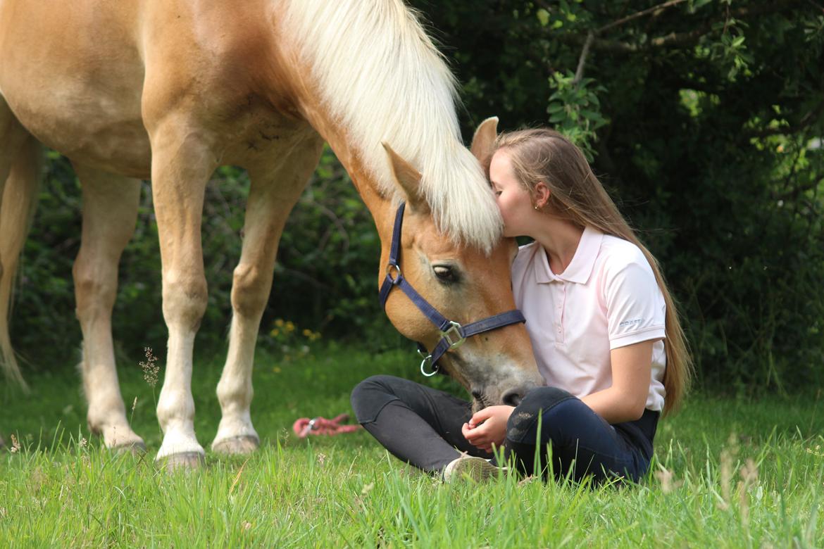 Haflinger Frida - 25/6-16 | 1 års dag med min Frida-mus <3 billede 7