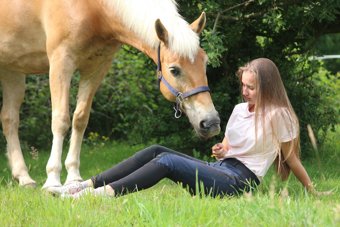 Haflinger Frida - 25/6-16 | 1 års dag med min Frida-mus <3 billede 4