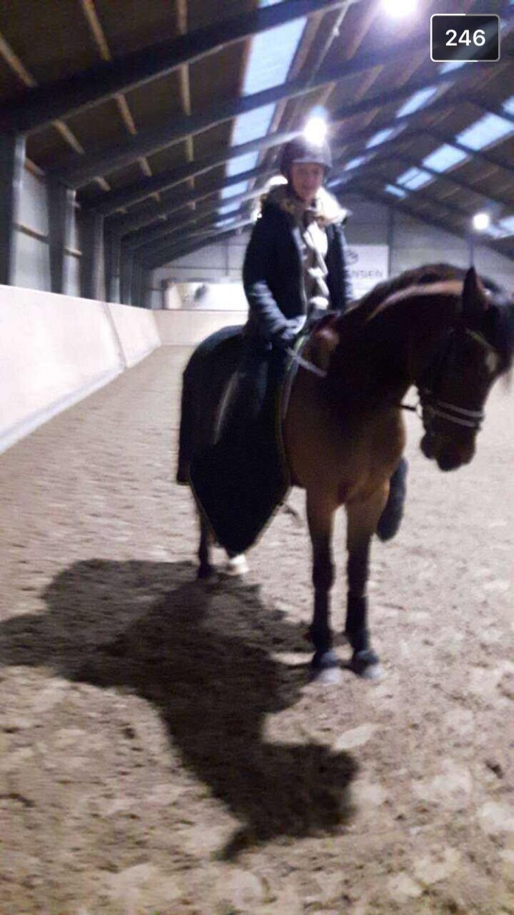 Anden særlig race Saginex billede 3