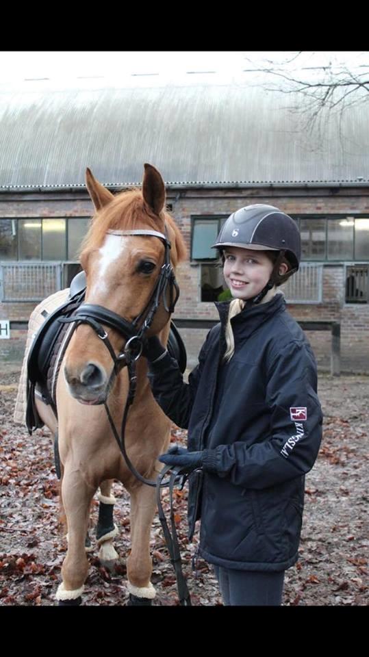 DSP Nørlunds el montana billede 3