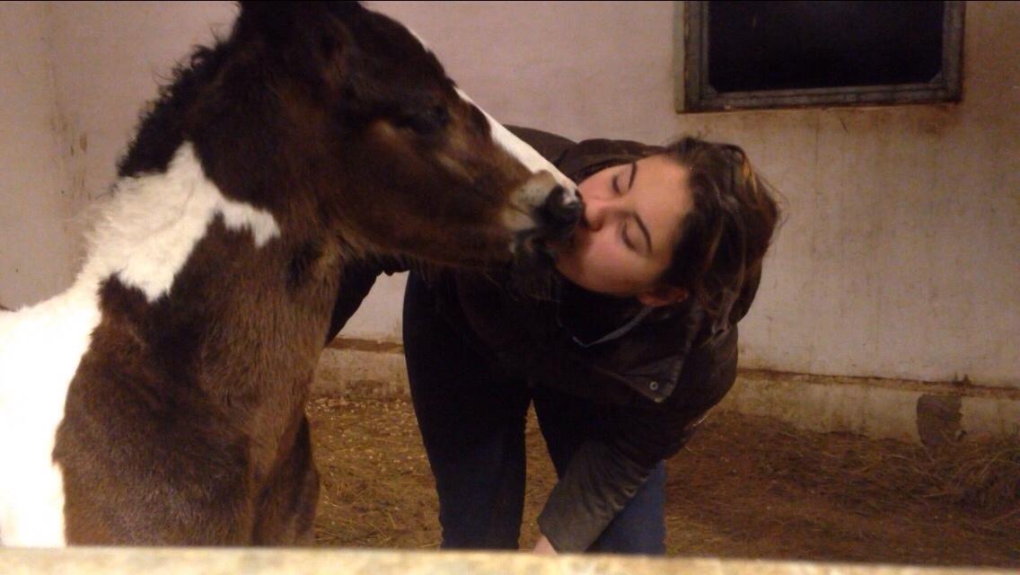 Barockpinto Honorous Jorg Ancrath billede 10