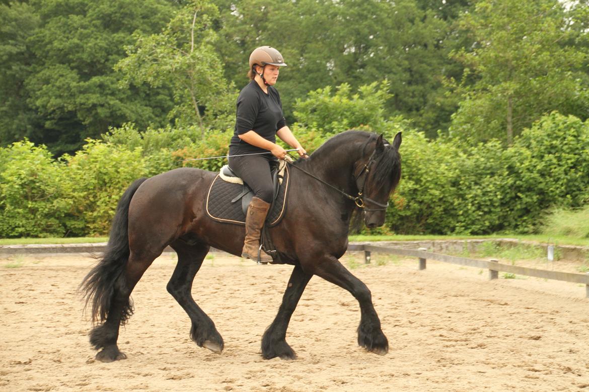 Frieser Zaion Terplinggaard STER - En af de første gange jeg red Zaion.. Fra i sommers.. Foto// Arnoldsen Photography billede 15