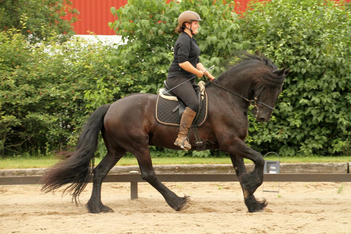 Frieser Zaion Terplinggaard STER - En af de første gange jeg red Zaion.. Fra i sommers.. Foto// Arnoldsen Photography billede 18