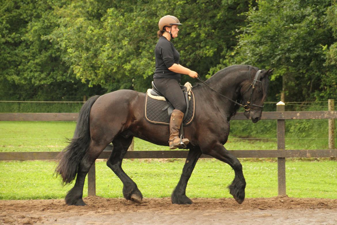 Frieser Zaion Terplinggaard STER - En af de første gange jeg red Zaion.. Fra i sommers.. Foto// Arnoldsen Photography billede 19