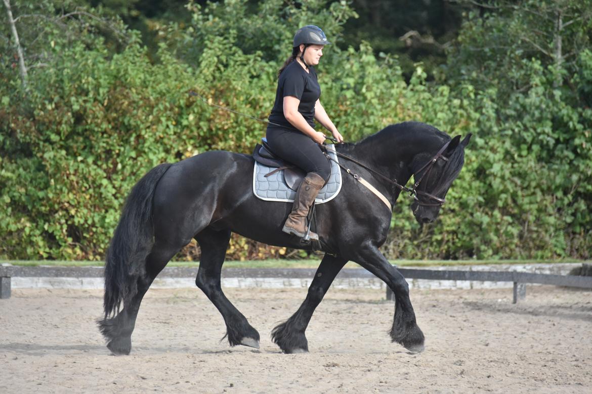 Frieser Zaion Terplinggaard STER - I sommers... Foto// Arnoldsen Photography billede 27