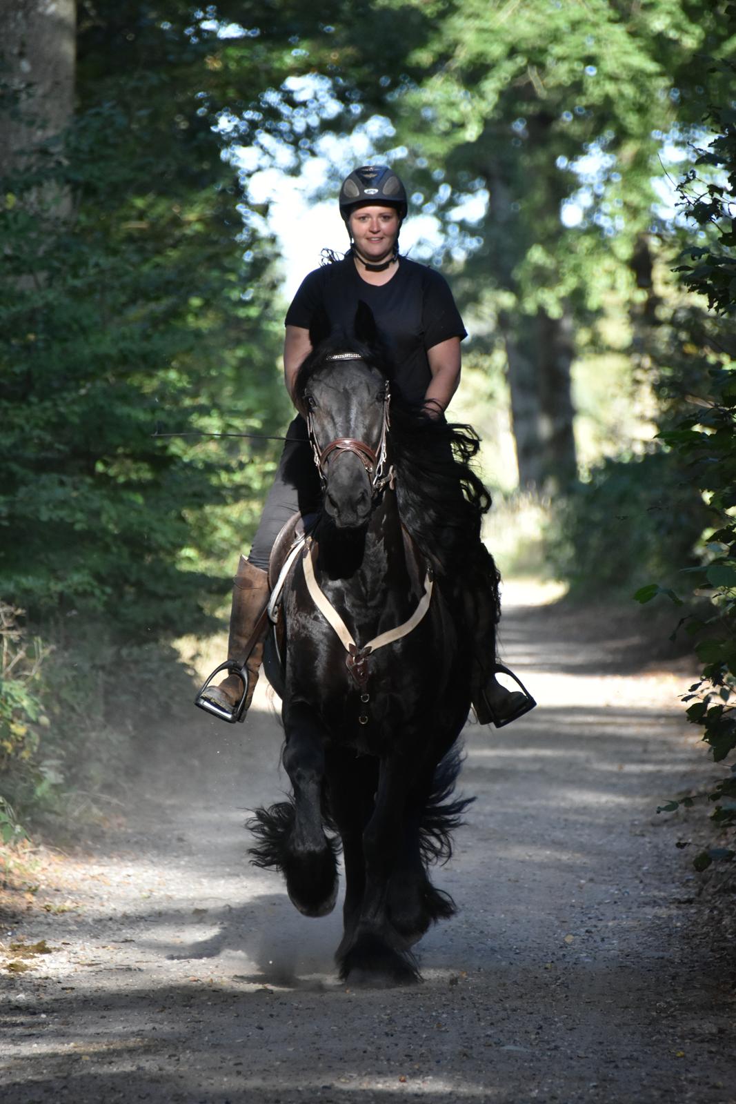 Frieser Zaion Terplinggaard STER - På en lille skovtur :)  Foto// Arnoldsen Photography billede 20