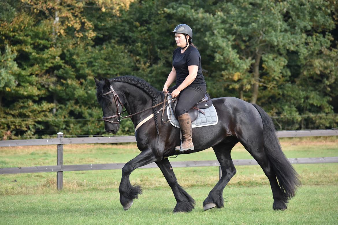 Frieser Zaion Terplinggaard STER - Fra i sommer.. Foto// Arnoldsen Photography billede 11