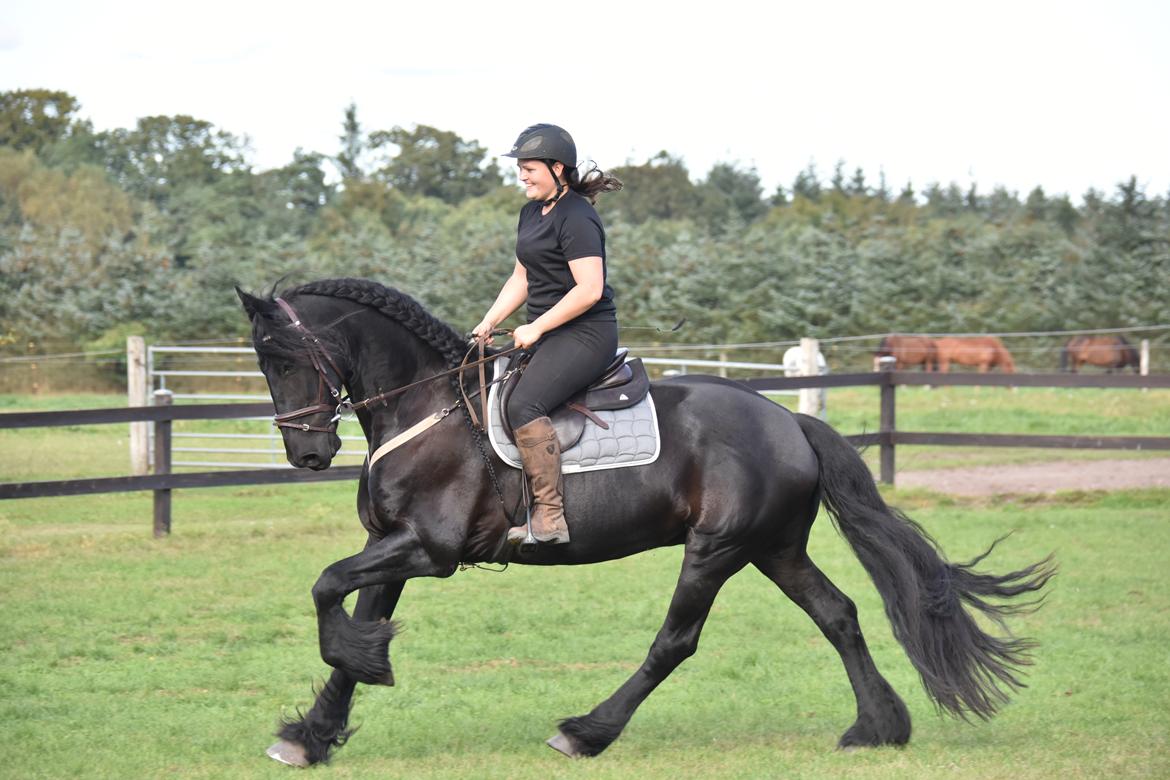 Frieser Zaion Terplinggaard STER - Fra i sommer.. Foto// Arnoldsen Photography billede 32