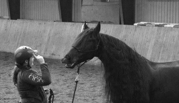 Frieser Zaion Terplinggaard STER - Desværre lidt ringe kvalitet. Fra vores første show :)  billede 25