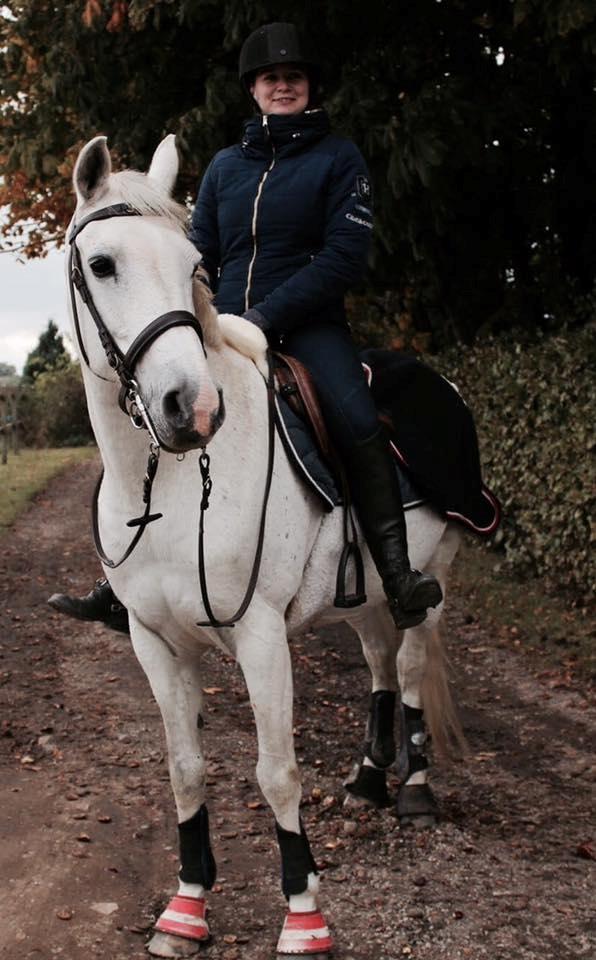 Hollandsk Varmblod V. P. Hestia billede 10