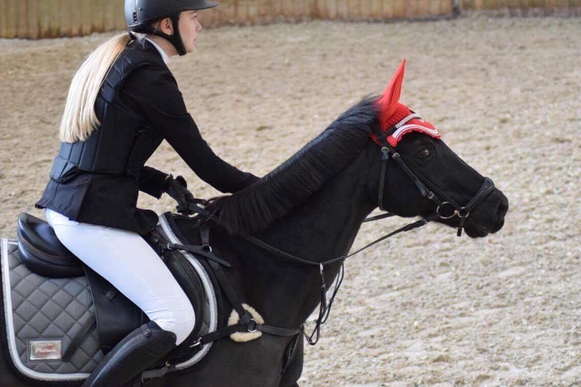 Welsh Partbred (Sec F) Tabaluga 167 - Springstævne SIV billede 4