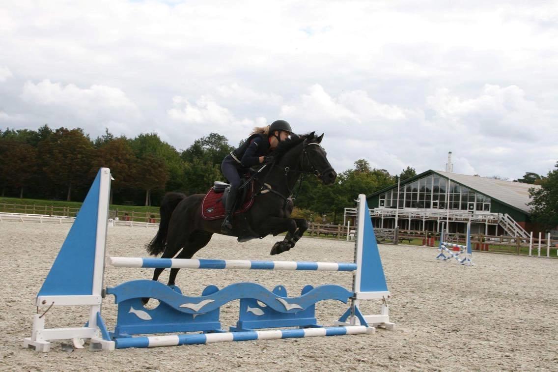 Welsh Partbred (Sec F) Tabaluga 167 - Billede: Rebecca billede 9