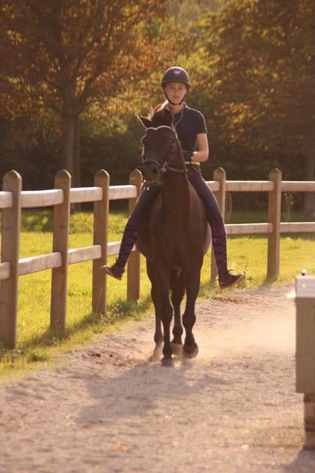 Welsh Partbred (Sec F) Tabaluga 167 - Billede: Cecilie billede 12