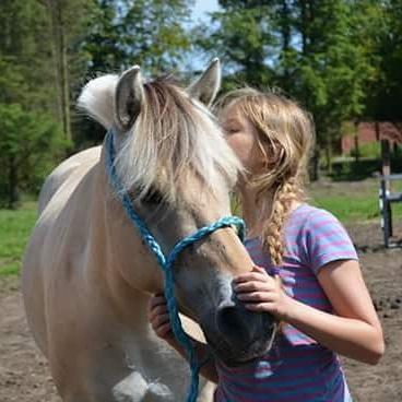 Fjordhest Gaja Kvistgaard billede 1
