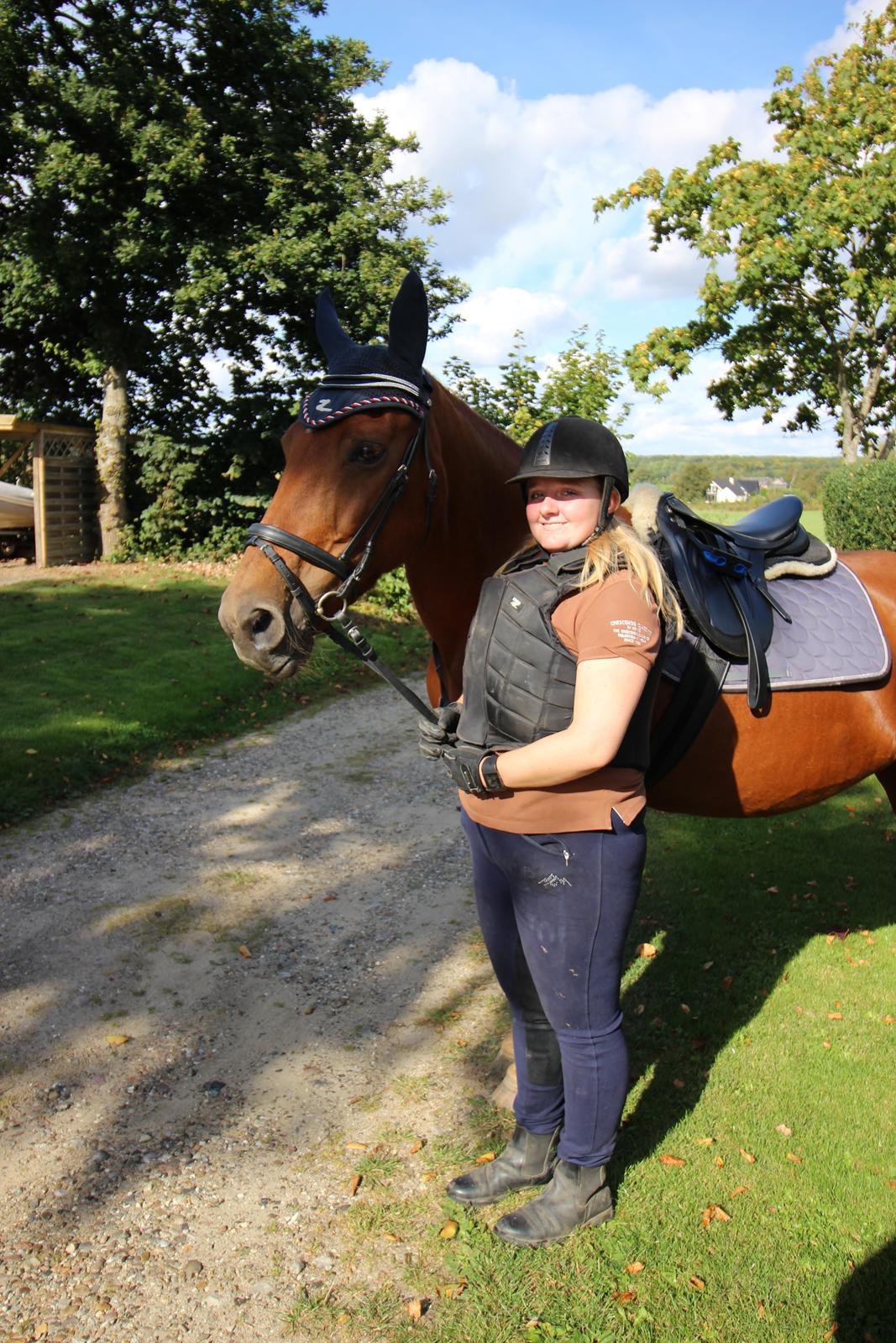 Anden særlig race Mulle billede 15