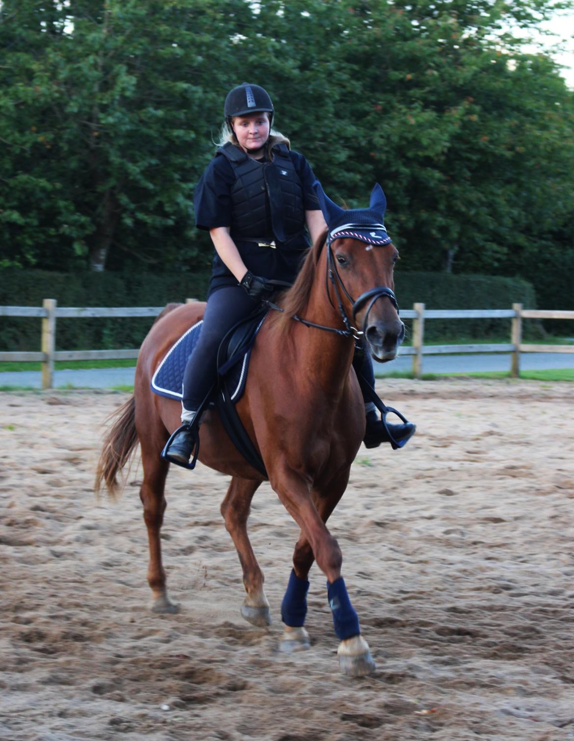 Anden særlig race Mulle billede 12