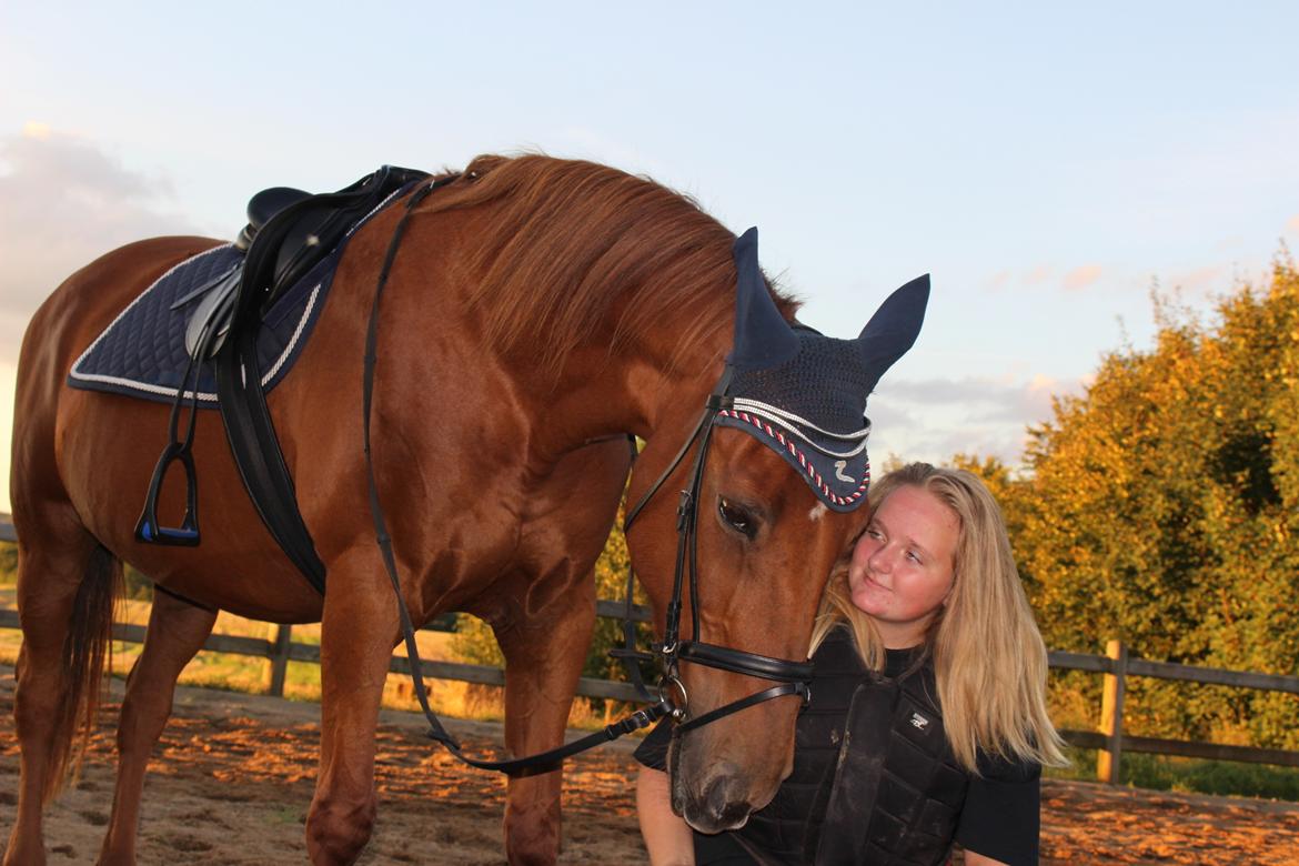 Anden særlig race Mulle billede 20