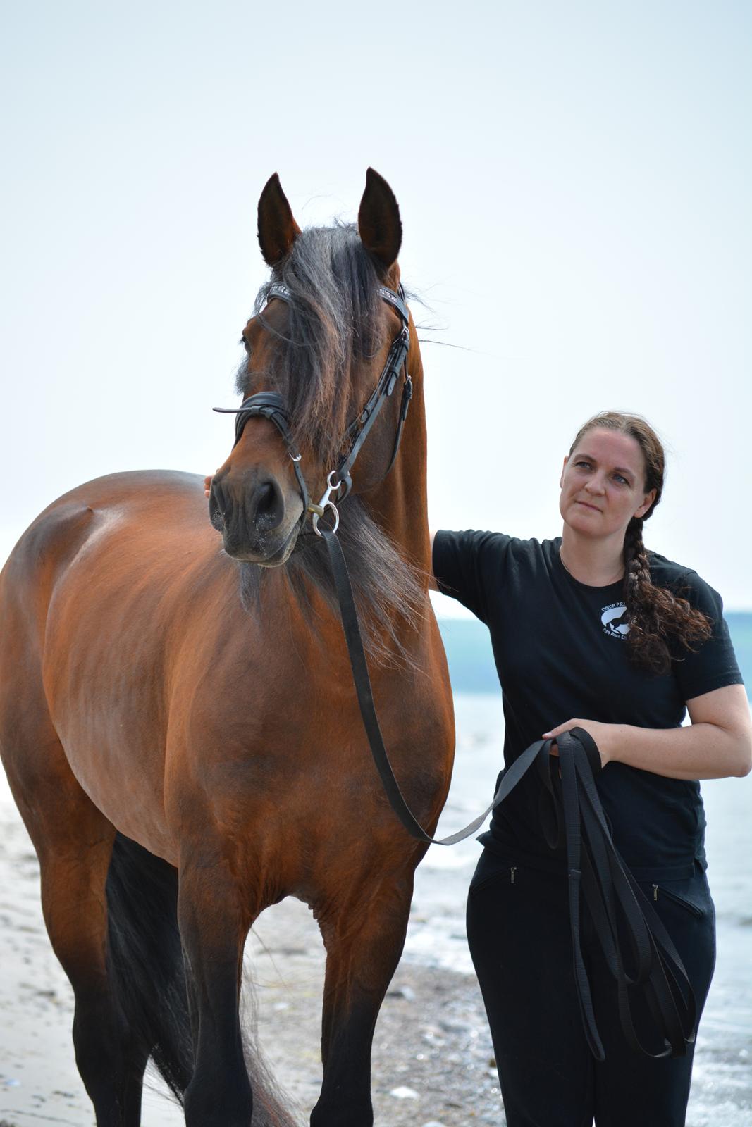 Pura Raza Española Teofilo Z billede 7