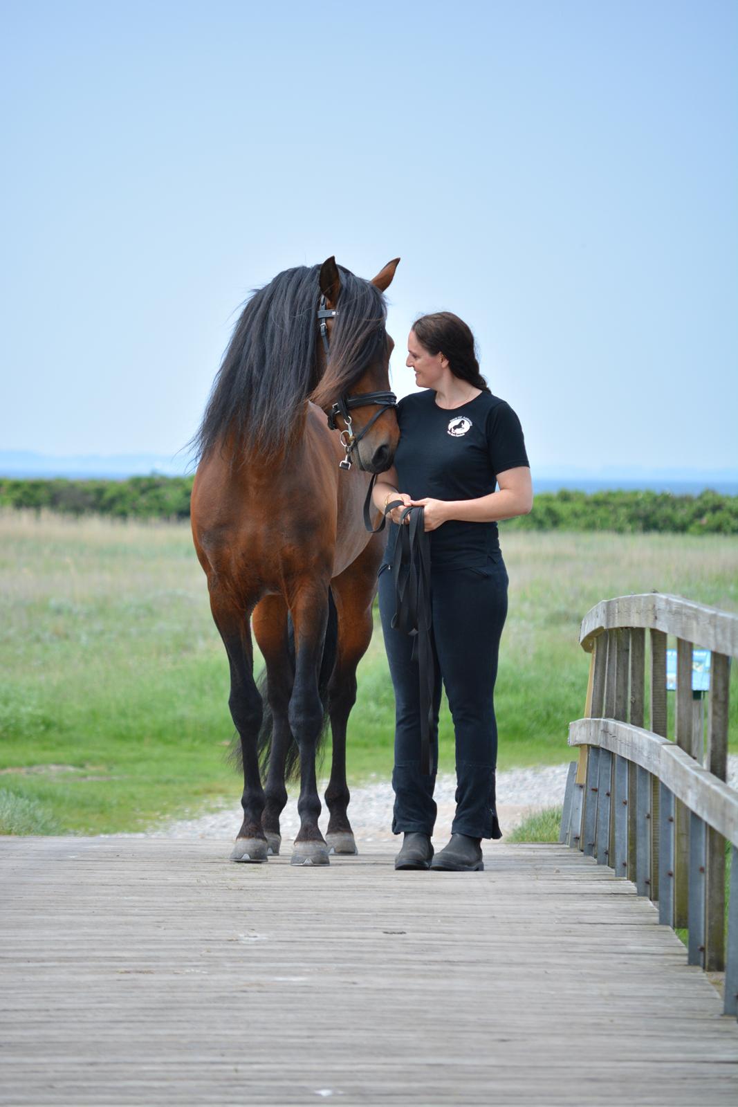 Pura Raza Española Teofilo Z billede 8