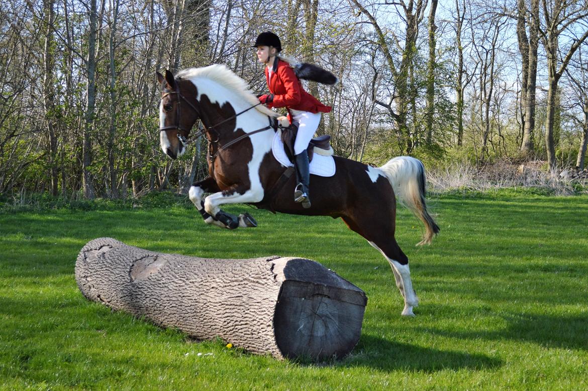 Gelderland Santander billede 2