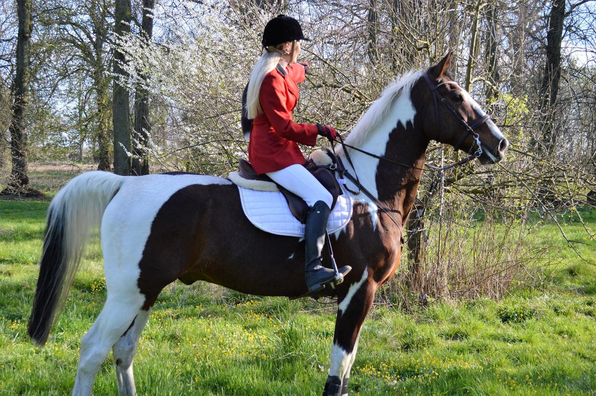 Gelderland Santander billede 6