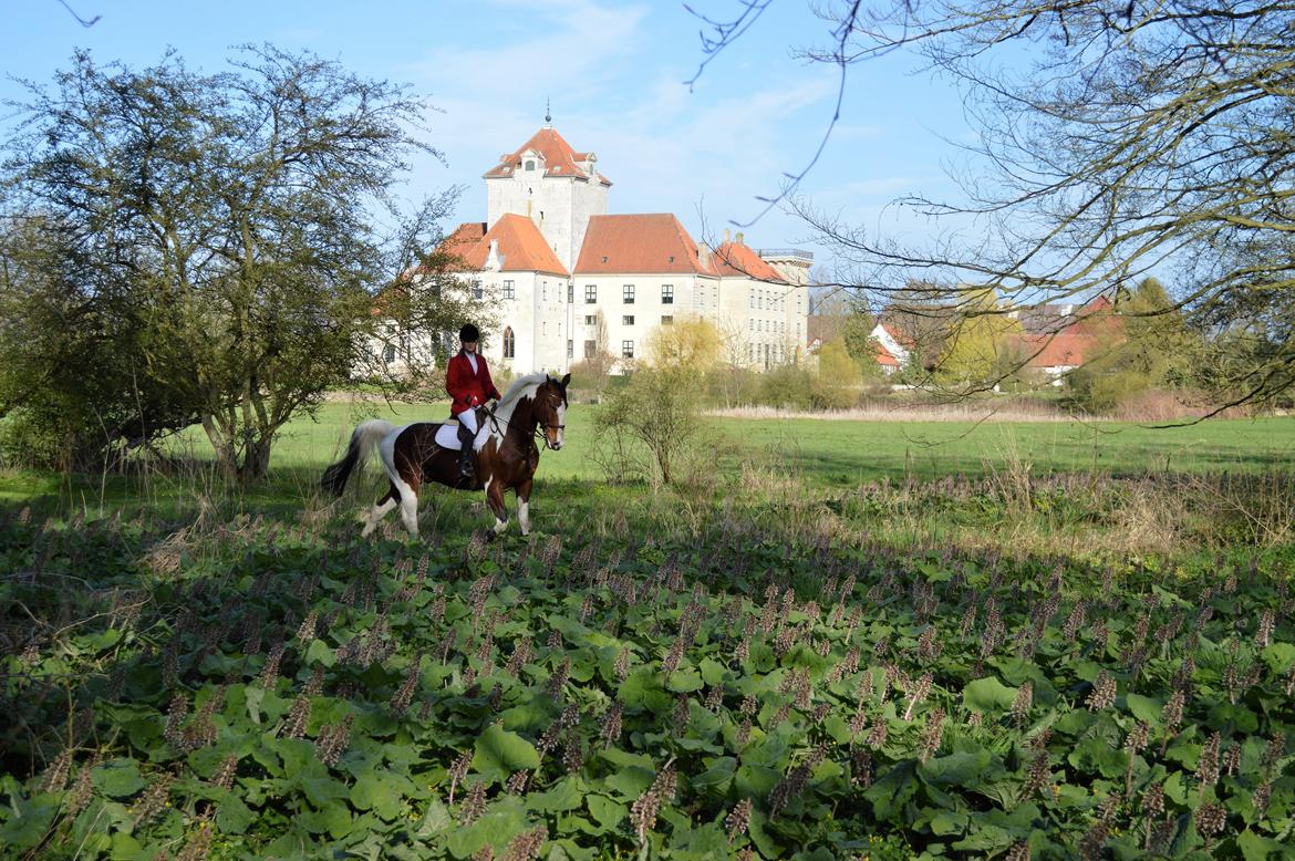 Gelderland Santander billede 5