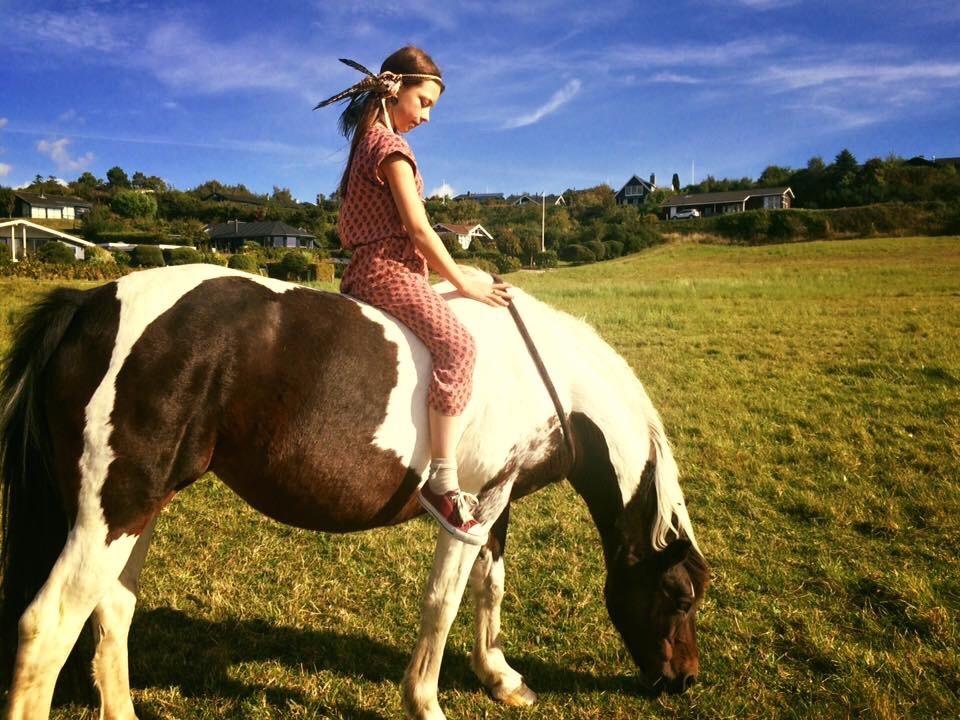 Anden særlig race Lotte RIP Min smukke pige billede 18