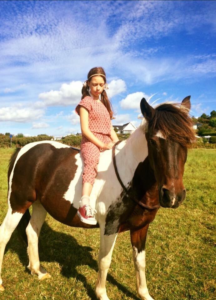 Anden særlig race Lotte RIP Min smukke pige billede 19