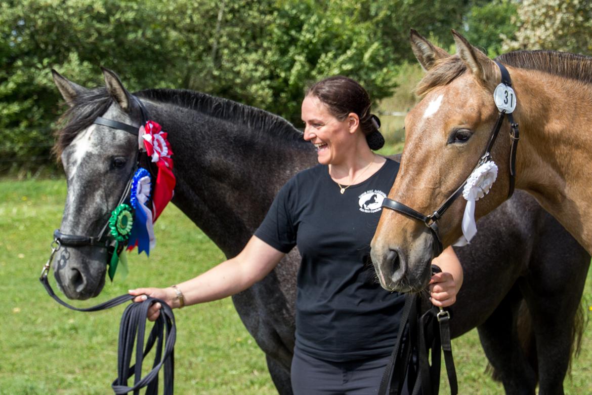 Pura Raza Española Rohans Melian billede 4