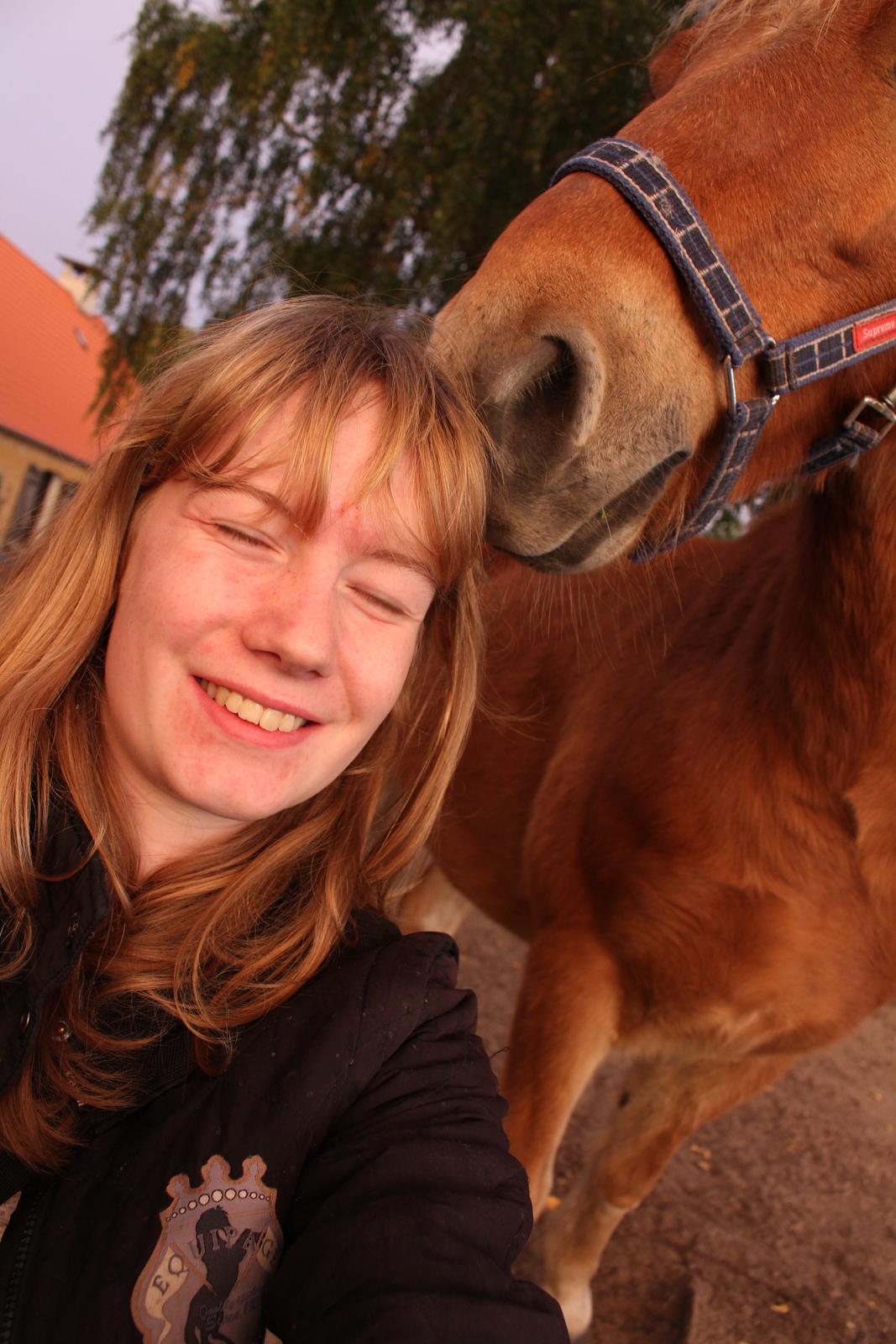 Gotlandsruss Prins (Fantom M) - Mit smil er så stort, når jeg er med ham <3 billede 12