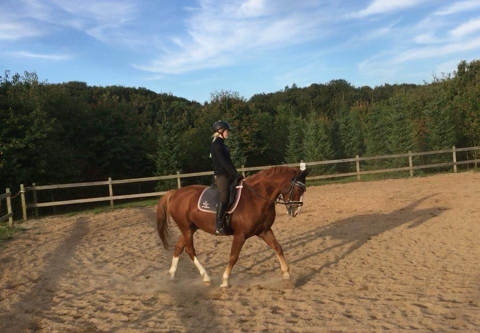 Anden særlig race Milando - Love you <3 billede 19