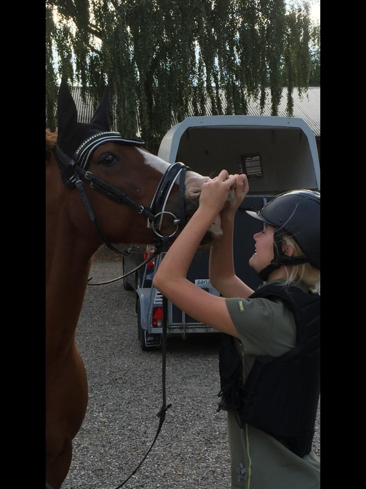 Anden særlig race Milando - Nogle gange skal man have lidt hjælp til at smile 😂 billede 18