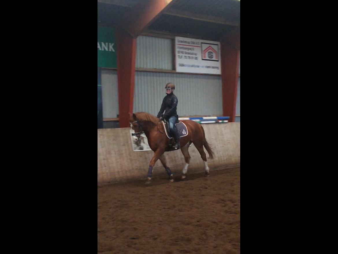 Anden særlig race Milando - Tusind tak for kigget, læg gerne en kommentar + bedømmelse :) billede 20