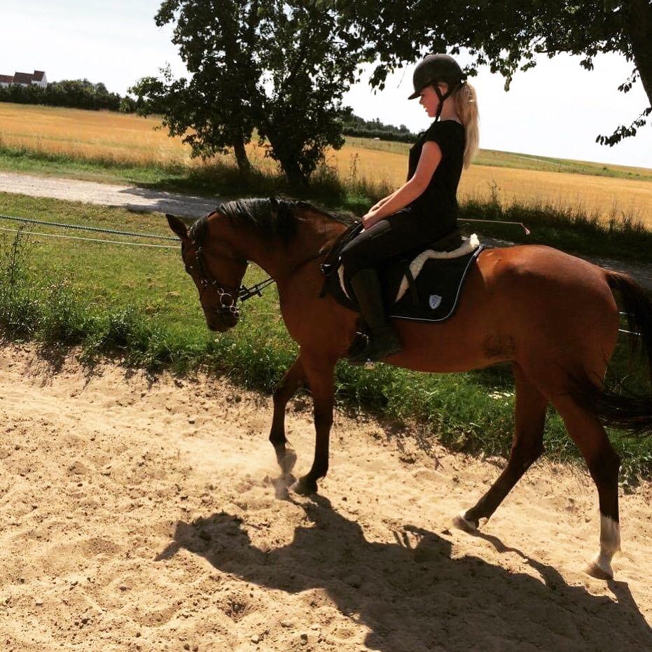 Anden særlig race Well Done (Donna) billede 3